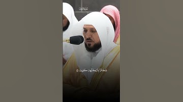 ٱللَّهُ یَبۡدَؤُا۟ ٱلۡخَلۡقَ ثُمَّ یُعِیدُهُۥ |سورة الروم |الشيخ ماهر المعيقلي |راحه نفسيه ❤