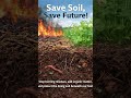 Stop burning residues, add organic matter, and protect the living soil beneath our feet.#savesoil