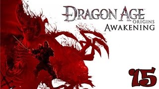 Прохождение Dragon Age:Awakening - часть 15:Во тьме