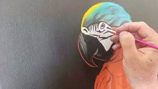 Pil Paint Parrot