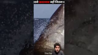#facts #shark #amazingfacts #knowledge #factsinhindi #new #thefact #ytshorts #fact #trending