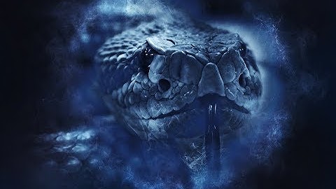 Understanding  Bible  Prophecy  ( Jacob Prasch )