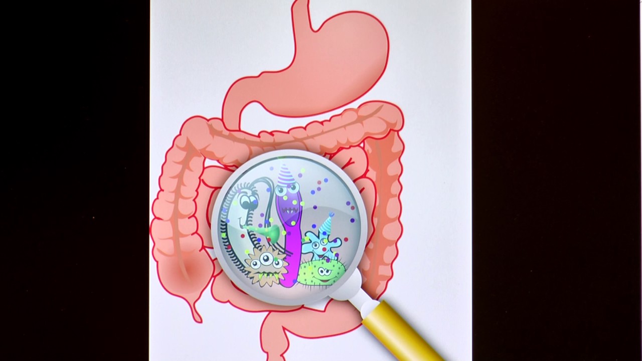 Absorption - YouTube