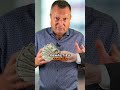 Schenk deinem Baby Mieteinnahmen