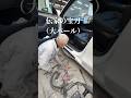 【鈑金仙人長尾編】テスラのステップ修理編①【#shorts 】