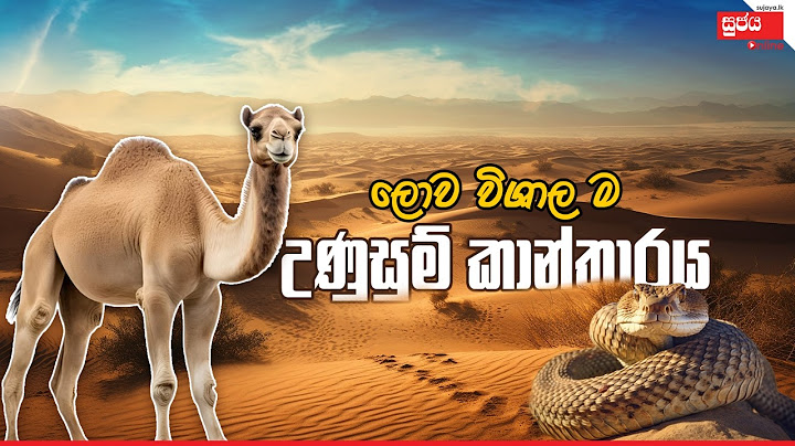 Sahara Desert | ලොව විශාලම කතර – සහරා කාන්තාරය #sujayaonline #sujaya #nature #sahara #naturelovers