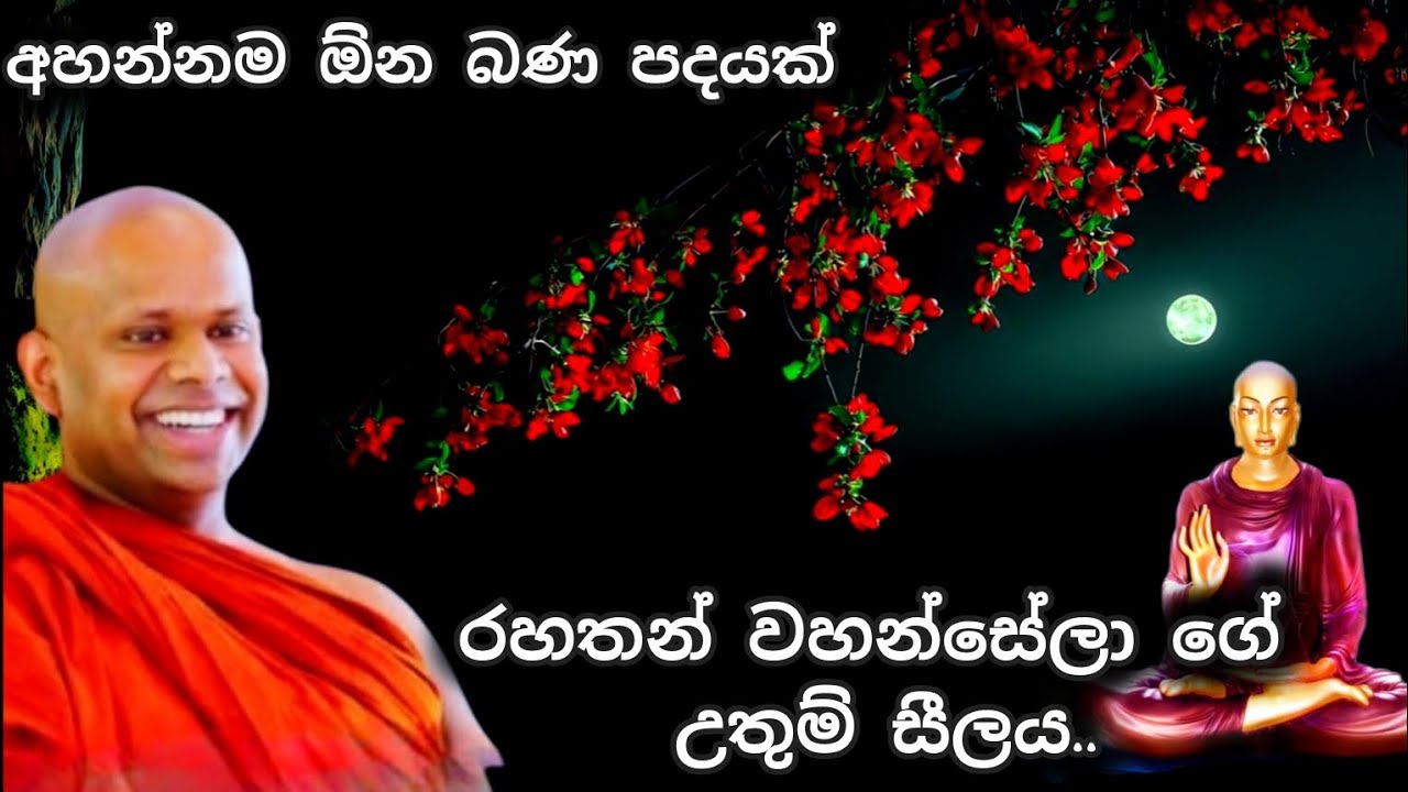 රහතන් වහන්සේලා ගේ උතුම් සීලය| Venerable welimada Saddha Sila Thero.