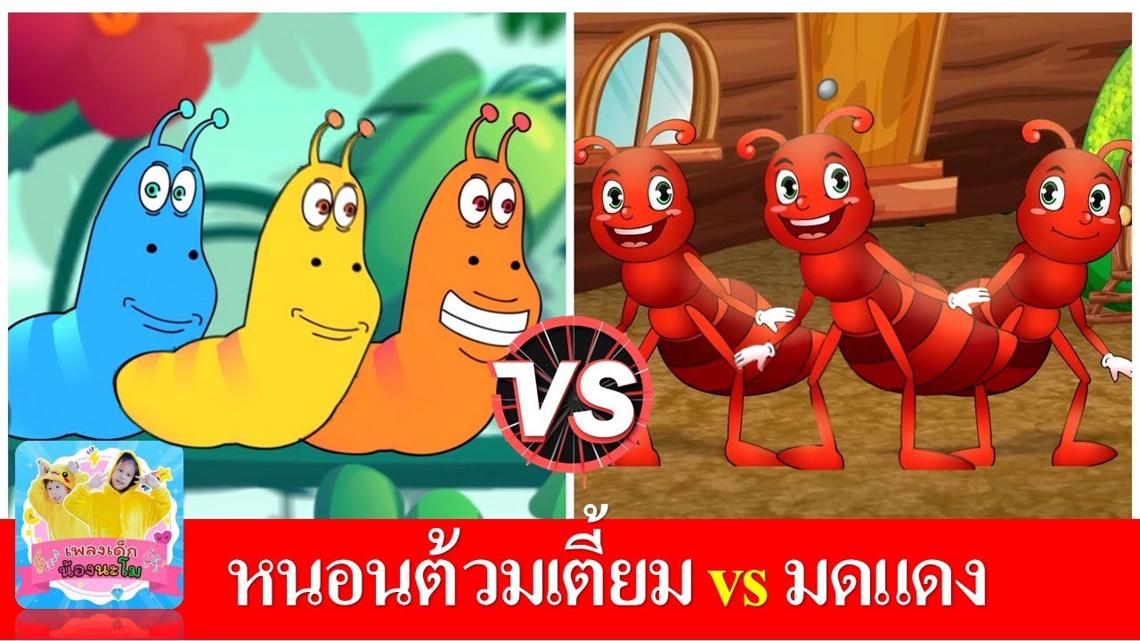 หนอนต้วมเตี้ยม vs มดแดง
