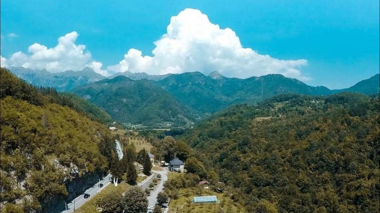 Novak Laketić-Poleće soko sa vite jele