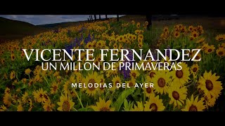 Vicente Fernández - Un Millón de Primaveras (LETRA)