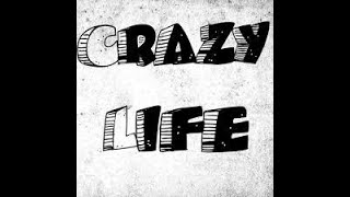 Crazy Life Episode 2 Tabletop Baseball Dairy