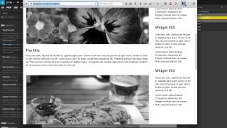 04 - Activate your WordPress Theme