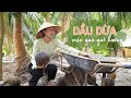 Dầu dừa thơm béo, quà quê gợi nhớ trưa hè oi ả ngày thơ - Khói Lam Chiều #135 | Coconut Oil