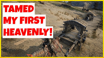 HOW TO FIND AND TAME HEAVENLY HORSES? | MYTH OF EMPIRES