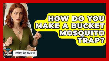 How Do You Make A Bucket Mosquito Trap? - Insects and Invaders