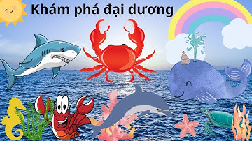 Con gì đây bé nhận biết các loài vật dưới biển, sinh vật biển, khám phá đại dương Diễn Ngọc official