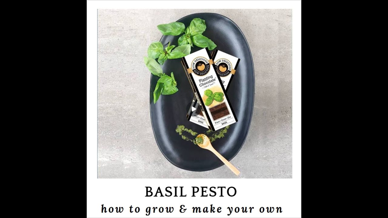 Grow & Make Pesto like an Italian Grandmother YouTube