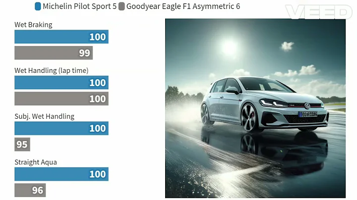 Michelin PS 5 vs Goodyear F1 A6