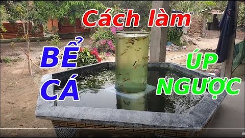 Cách làm Bể Cá úp ngược _ kênh chế tác