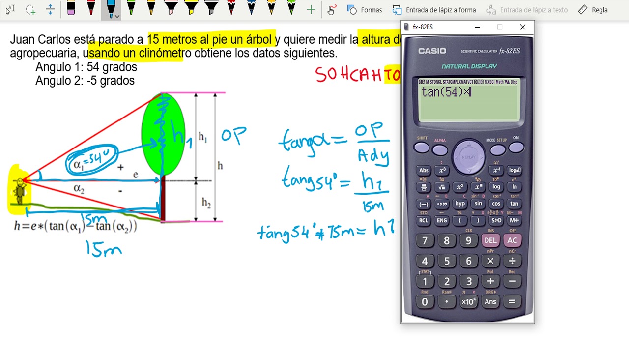 calcular la altura de un árbol con función trigonométrica - YouTube