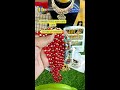 Live Stream of Multi Collection