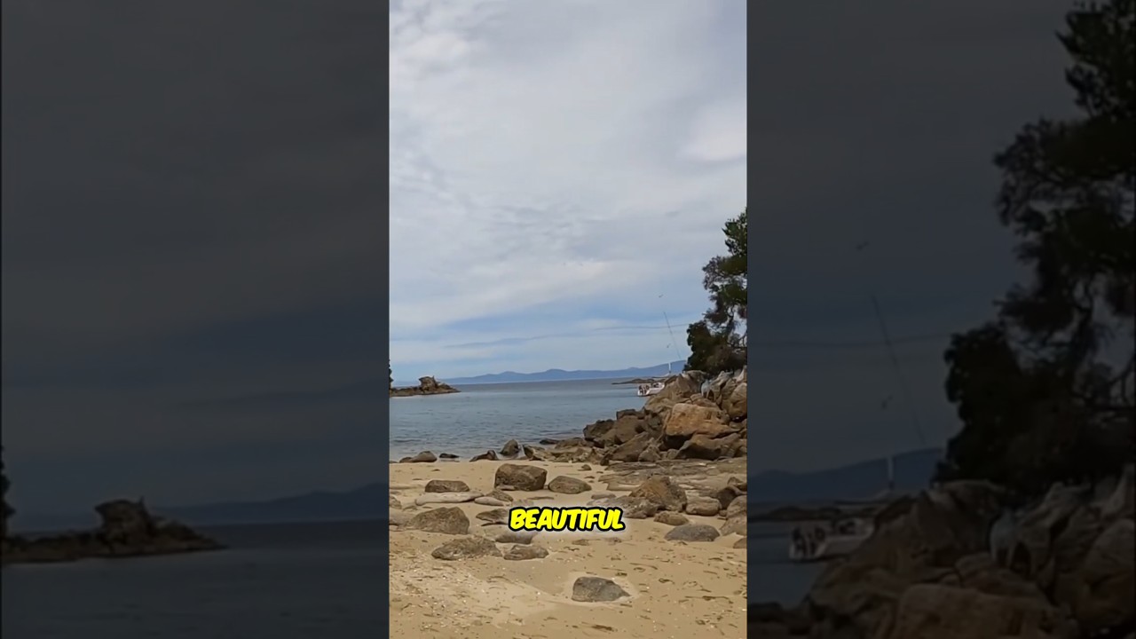 Nifty Boat Cruising Islands at Abel Tasman #shorts #boating #adventure #beach #ocean #dji