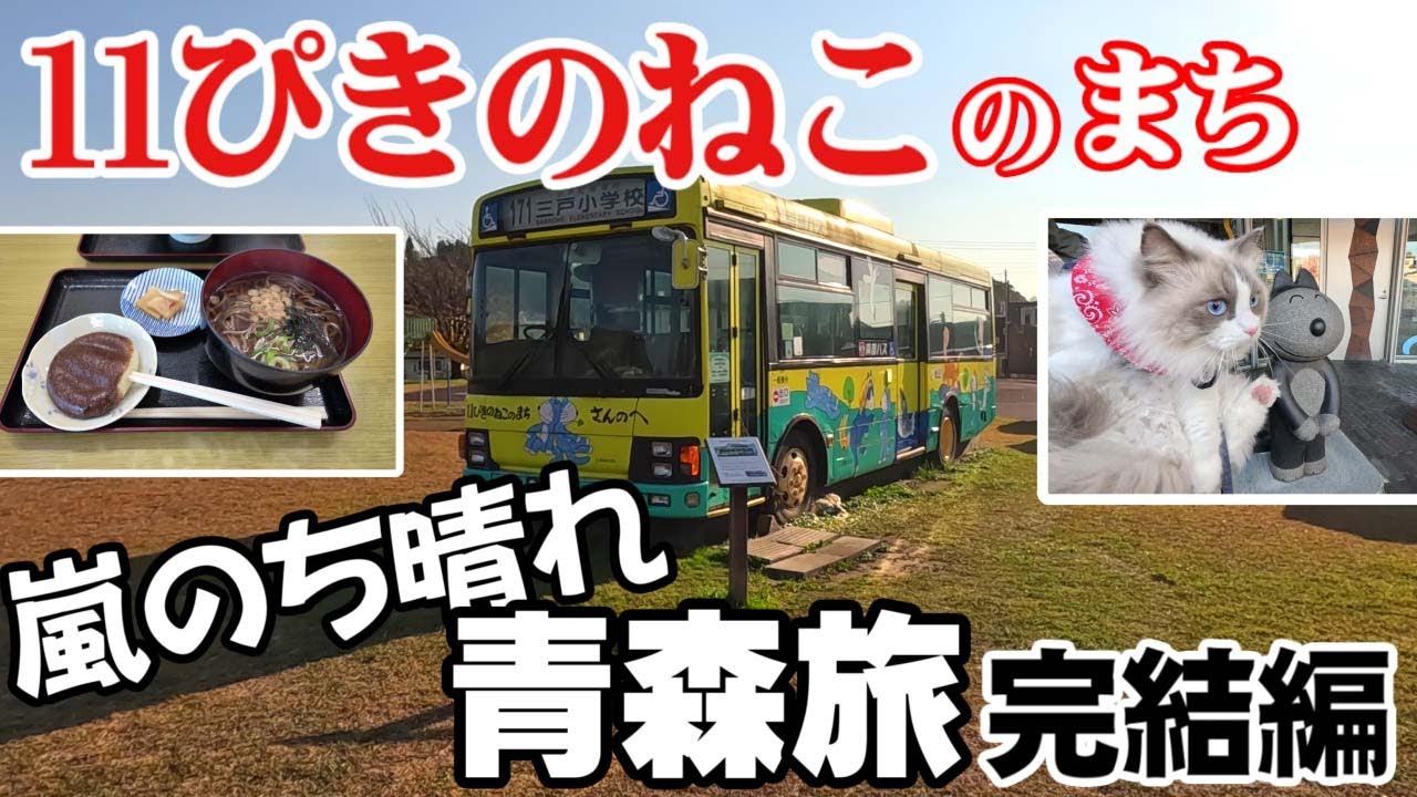 【ねこ旅】三戸グルメを味わい、町役場へ突撃し１１ぴきのねこスタンプラリーで剥がされたQRコードを直談判！ねこと散策する三戸・後編で青森旅は完結＼(◎o◎)／