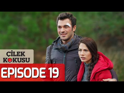 Strawberry Smell - Full Episode 19 (English Subtitles) | Cilek Kokusu