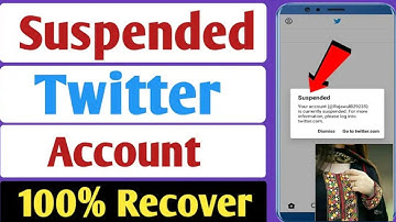 X Twitter Suspended Account Recover|X Twitter Account Suspended Problem Kaisy Solve Kry| TechSonya45