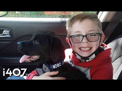 8 Year Old Saves Puppy's Life Selling Pokemon Cards!