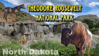 One Day in Theodore Roosevelt National Park
