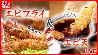 【エビまとめ】『エビフライ＆エビ天』長年愛されるこだわりのエビ天/家族で守る !洋食店のエビフライ/ウワサの超特大！ジャンボエビフライ　など グルメニュースライブ（日テレNEWSLIVE）