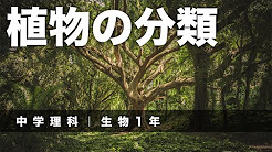中学理科 生物 1 年 植物の生活と種類 Youtube
