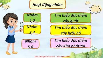 Giáo án powerpoint Bài 3: Một số loại cây cảnh phổ biến (Tiết 1) | GA điện tử Công nghệ 4 Cánh diều