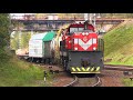 Тепловозы ТЭМ ТМХ-049 и ТЭМ ТМХ-011 / Diesel locomotives TEM TMH-049 and TEM TMH-011