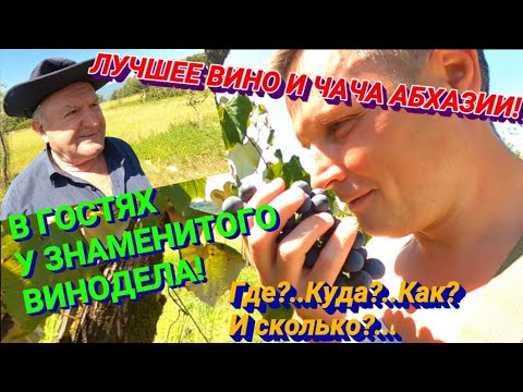 Абхазия 2020. Вино и чача в Абхазии. Где купить хорошее вино в Абхазии. Цена. Качество. Хванчкара.