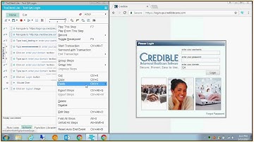 TruClient Intro - Test Case Review - First pass
