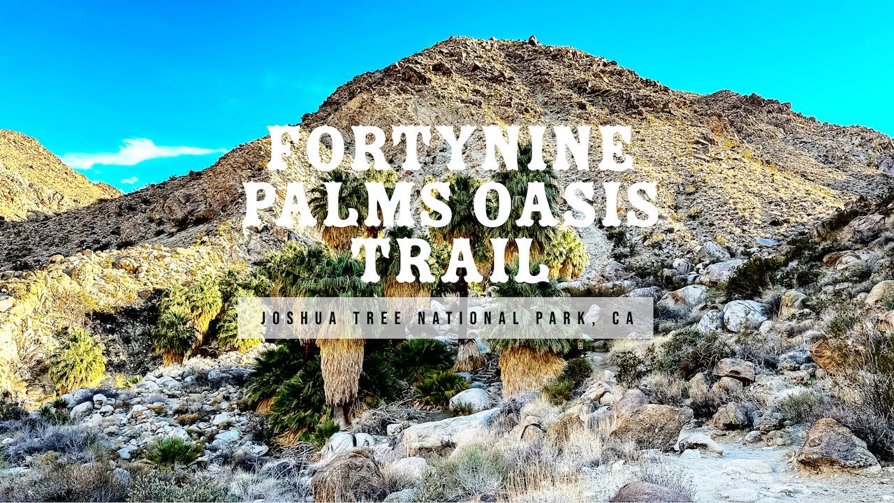 Fortynine Palms Oasis Trail at Joshua Tree National Park