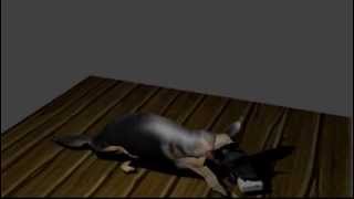 DOG SMOKES A CIGARET-BLENDER TEST VIDEO