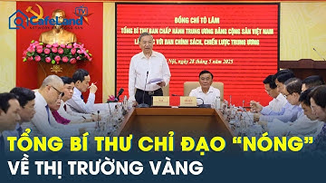 Tổng Bí thư Tô Lâm: Xóa bỏ thế độc quyền Nhà nước về vàng miếng | CafeLand