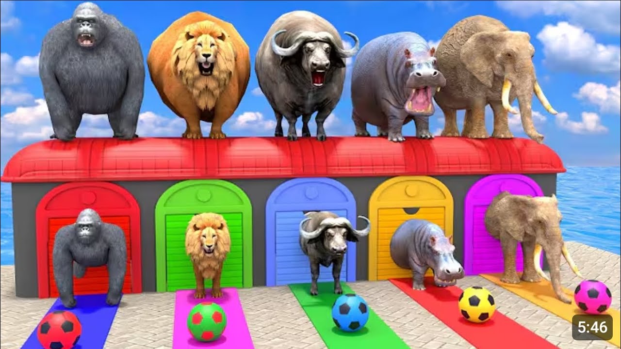 Cartoon Cow Mammoth Elephant Gorilla leone Tiger Animals _Transliterat Shivansh funny animal3D 😂😂🤣🤣
