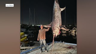 Point Loma fisherman catches 663-pound swordfish