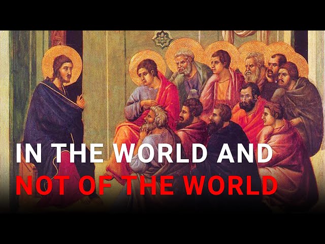 Daily IVE Homilies, May 4 2024 - In The World And Not Of The World