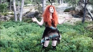 Vignette de la vidéo "Dracovallis and Merrigan - Summerspell (Celtic Music)"