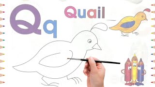 Coloring Quail for kids