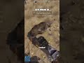 #rust #twitch #funny #rustgame #gaming #drops