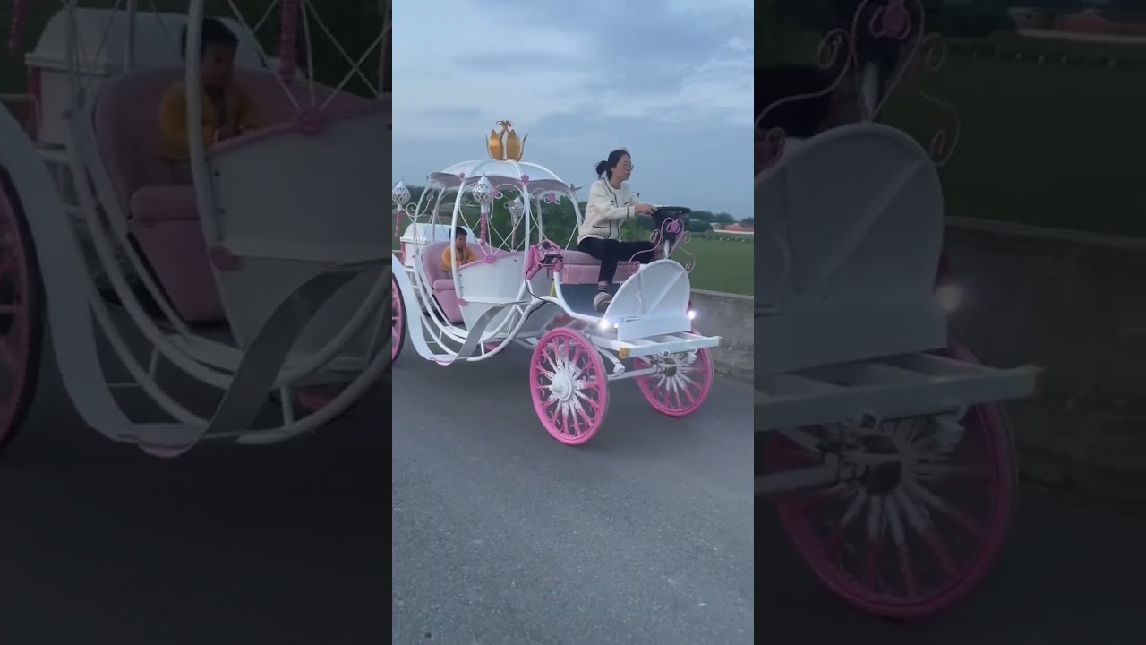candy carriage, carriage driving, deluxe stage-coach, wedding carriage, special horse cart for party