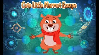 G4K Cute Little Marmot Escape Game| Games4King Walkthrough screenshot 3