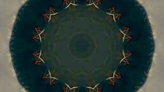 Kaleidoscope Kwiz 172. You have about 30 seconds to guess.