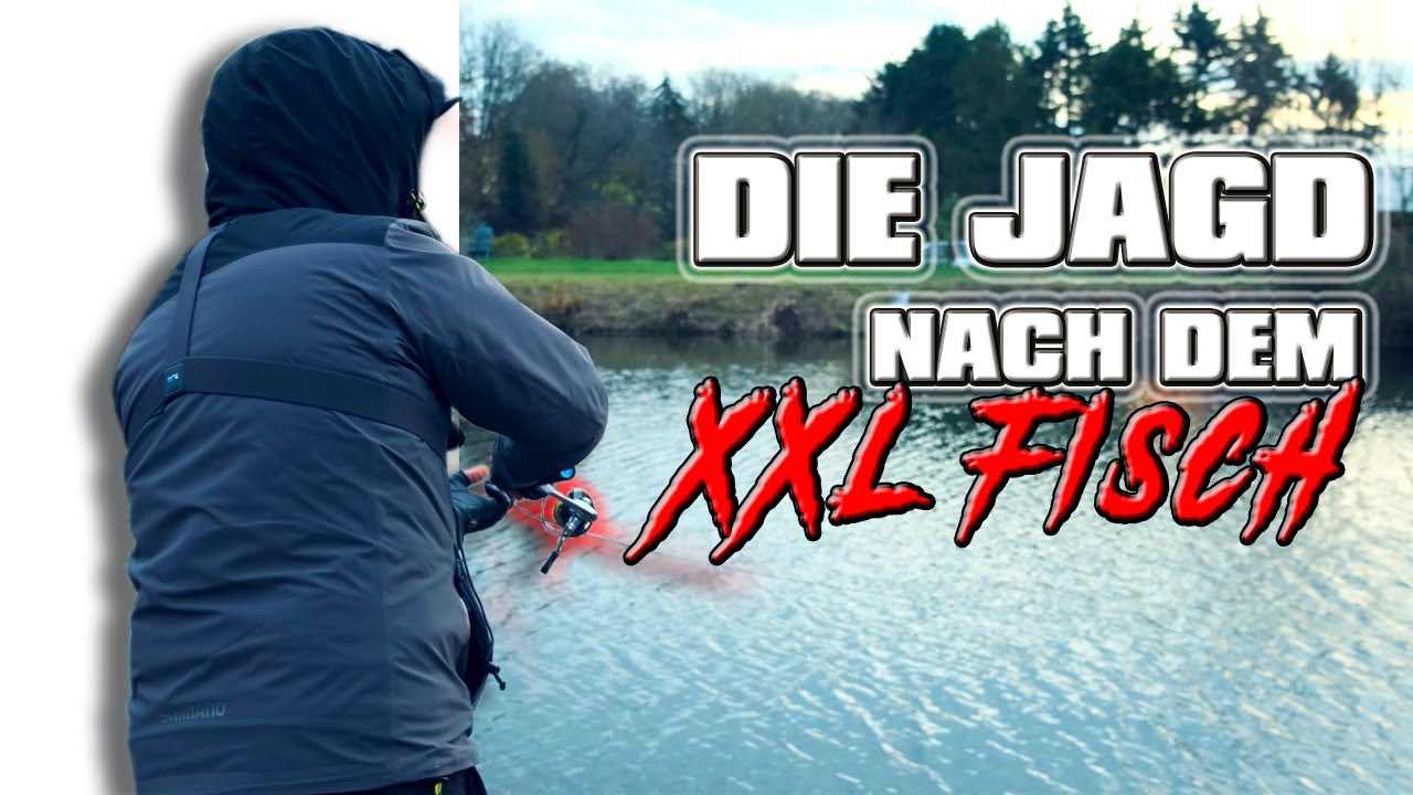 XXL-LACHSFORELLEN: Die Jagd geht weiter! Forellenangeln mit FANGENSWERT | Fischen bei Chrischen